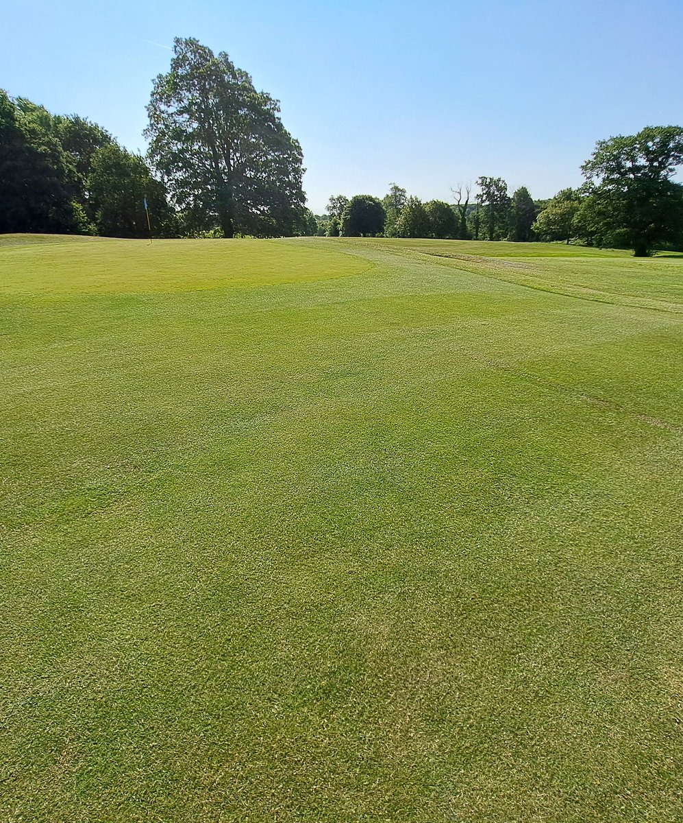 fancey76's tweet image. Made a nice change to get the mowers out @baronessuk this morning instead of lumping and dragging hoses. 
Greens looking pacy and approaches tight after recent double v-cut and top-dress ahead of our Open Day @SouthwickParkGC 😎