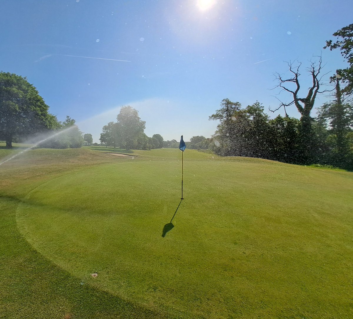 fancey76's tweet image. Made a nice change to get the mowers out @baronessuk this morning instead of lumping and dragging hoses. 
Greens looking pacy and approaches tight after recent double v-cut and top-dress ahead of our Open Day @SouthwickParkGC 😎