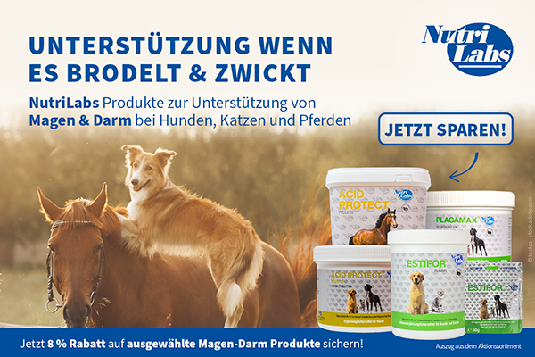 RT <a href="/docgoy/">Dr. Reinhard Goy</a>   Wenn es im Magen und Darm bei Hund, Katze, Pferd brodelt und zwickt: hund-katze-heimtier-kleintier.de/nutrilabs-wenn… 🐴🐕🐈‍⬛