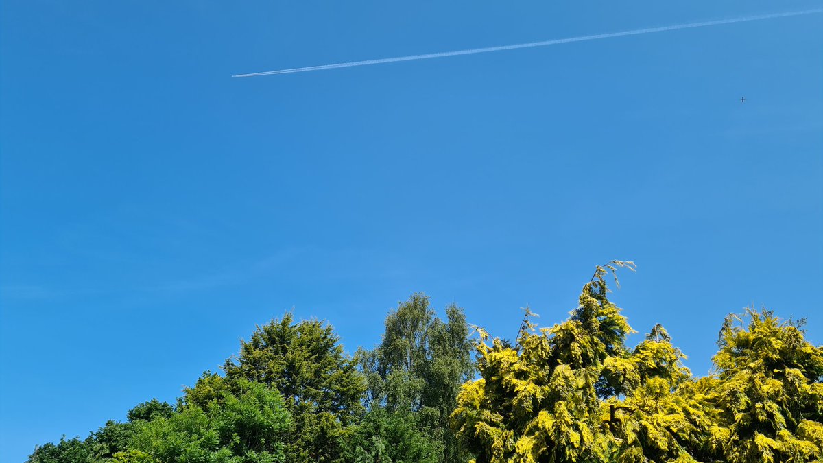 Paul Jobe tweet media