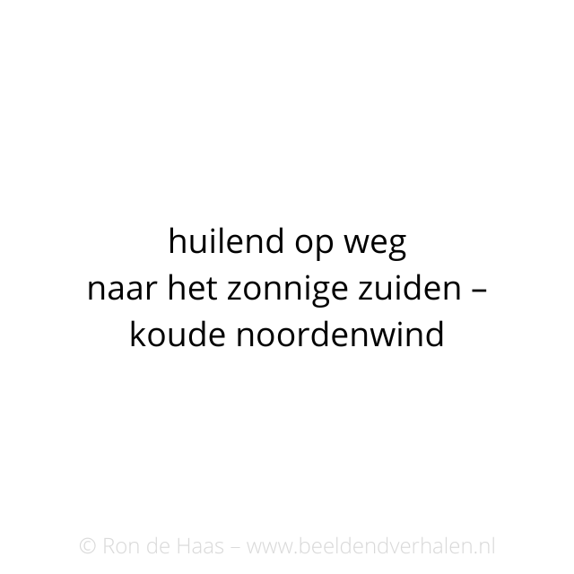 BeeldendVerhal1's tweet photo. #beeldendverhalen #huilend #noorden #zuiden #wind #haiku #俳句 #ロン #川柳 https://t.co/Y2zd1X6Btc
