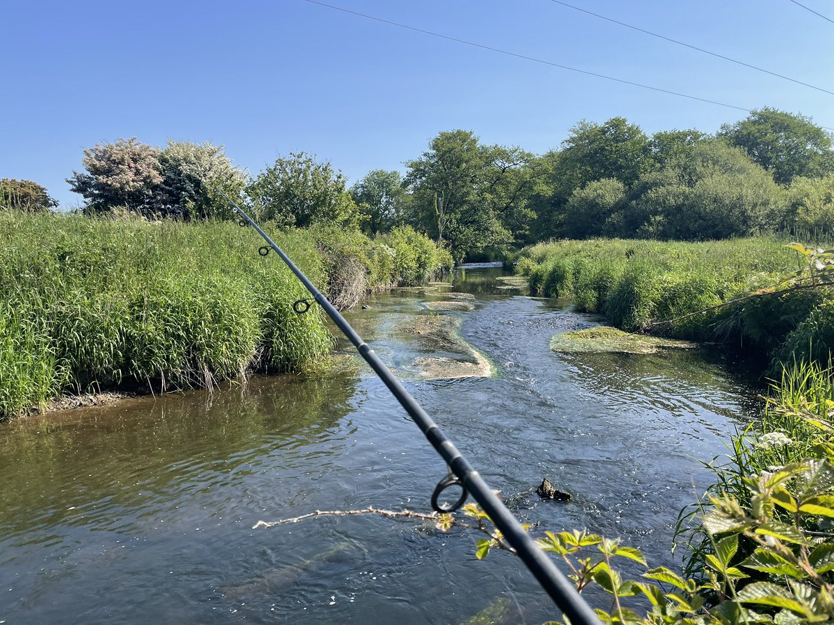 1977Freckles's tweet photo. Lovely Sunday morning dip at our river. Lovely display of damsel flies this morning and the minnows are proving greedy! #countrylife #riverfishing https://t.co/AUAxNtmzJM