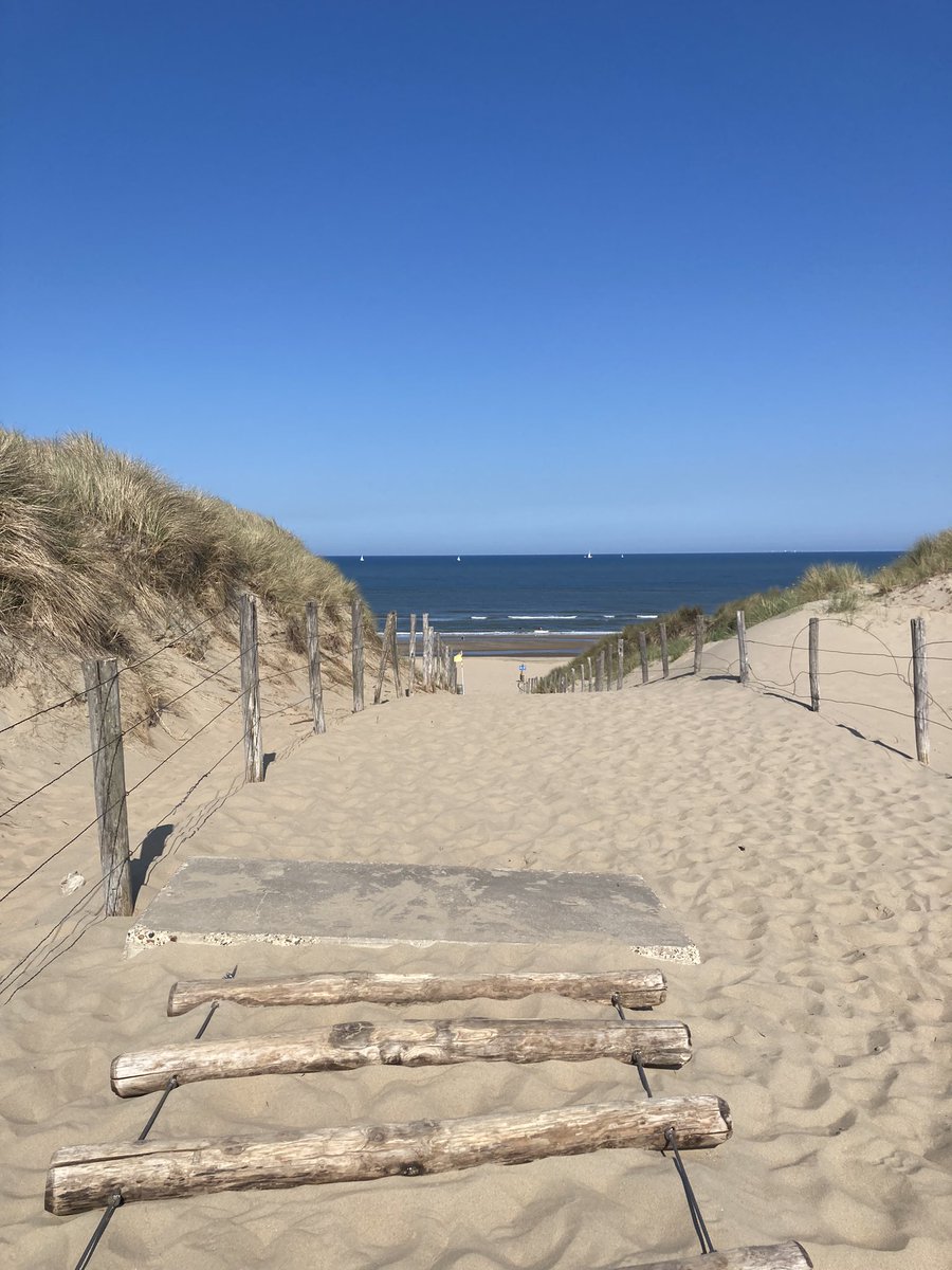 InBabyAttachMode tweet media