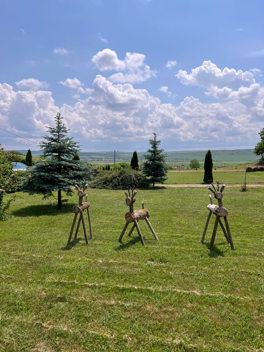 Philip Bob (@philipb55642822) on Twitter photo 