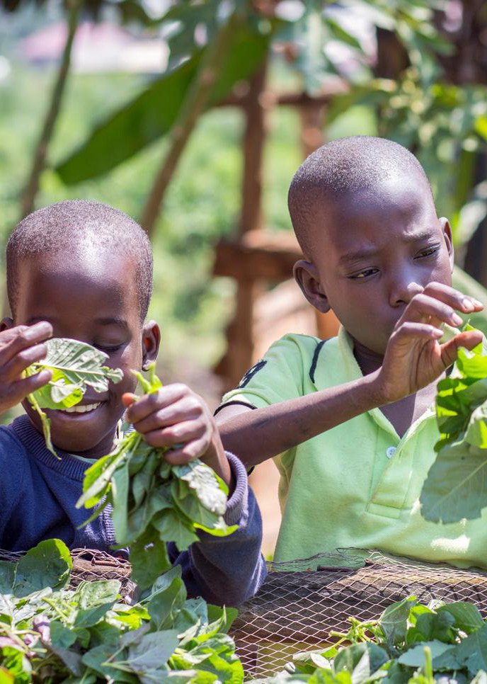 Remember, #nutritionsecurity is a corner stone in  #foodsecurity

It is not just about having enough to eat but ensuring what you eat nourishes your body to achieve full potential. 💪💪💪
#nutritionandhealth

Photo_ @MinofHealthUG and @UNICEFUganda