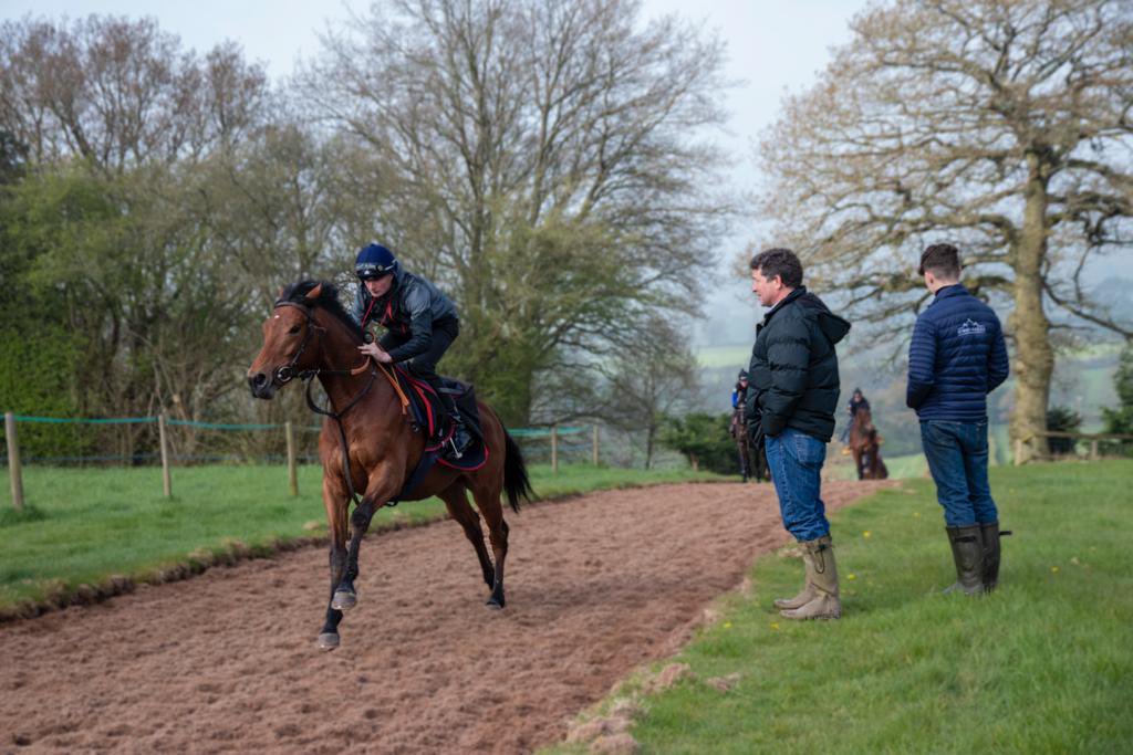 Whathappensinvegas , our New Bay colt from the @Tattersalls1766 craven breeze up makes his debut today at @NottsRacecourse , even though it’s an educational run and he will need more than 5f, yet it’s extremely exciting to see him run! 🤞@ianwilliamsraci @dalila_hashish