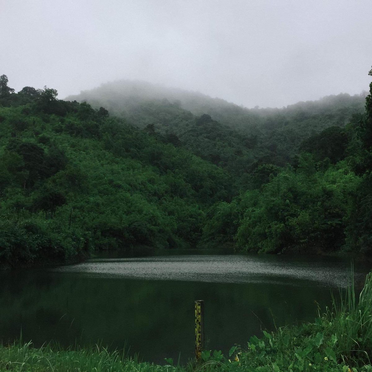 Doenthang's tweet photo. Sun.230604
'ชอบสุด ก็บรรยากาศหลังฝนตก' ☔️

ฝนที่มาพร้อมกับความชุ่มฉ่ำ 
และความเปียกปอนในเวลาเดียวกัน

: จ.กาญจนบุรี 

#doenthang #เดินทาง #���าญจนบุรี #mountain #nature #ธรรมชาติบําบัด #แคปชั่น #แคปชั่นเด็ด #แคปชั่นความรัก #คําคม #เที่ยว #แคปชั่น https://t.co/RnP8LgEwVP