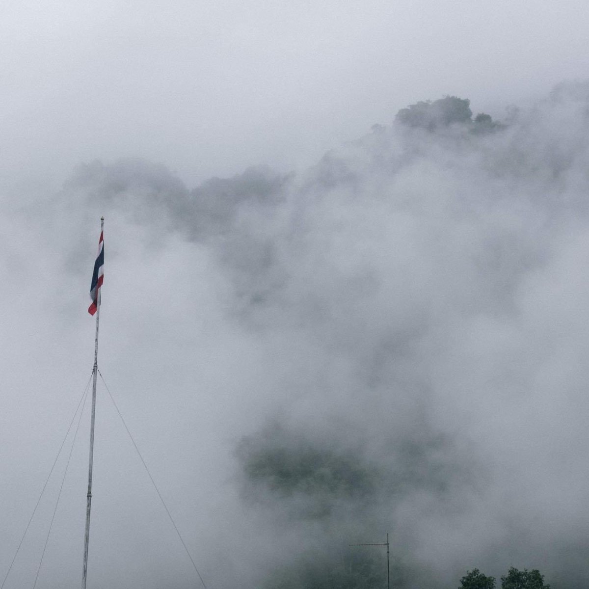 Doenthang's tweet photo. Sun.230604
'ชอบสุด ก็บรรยากาศหลังฝนตก' ☔️

ฝนที่มาพร้อมกับความชุ่มฉ่ำ 
และความเปียกปอนในเวลาเดียวกัน

: จ.กาญจนบุรี 

#doenthang #เดินทาง #���าญจนบุรี #mountain #nature #ธรรมชาติบําบัด #แคปชั่น #แคปชั่นเด็ด #แคปชั่นความรัก #คําคม #เที่ยว #แคปชั่น https://t.co/RnP8LgEwVP