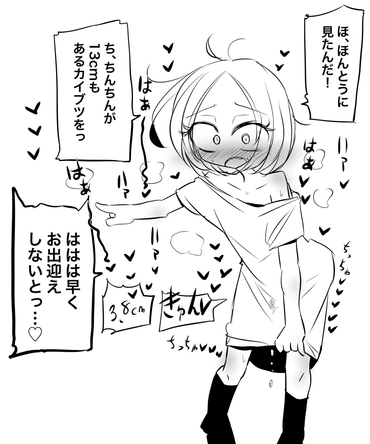 on-twitter-https