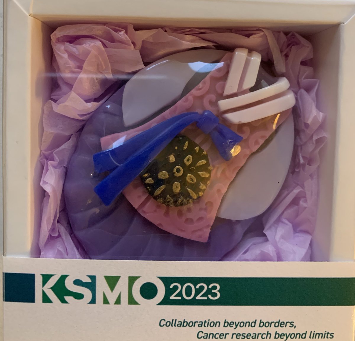 Got a gift from Korean Society of Medical Oncology and information about KSMO 2023. #ASCO23