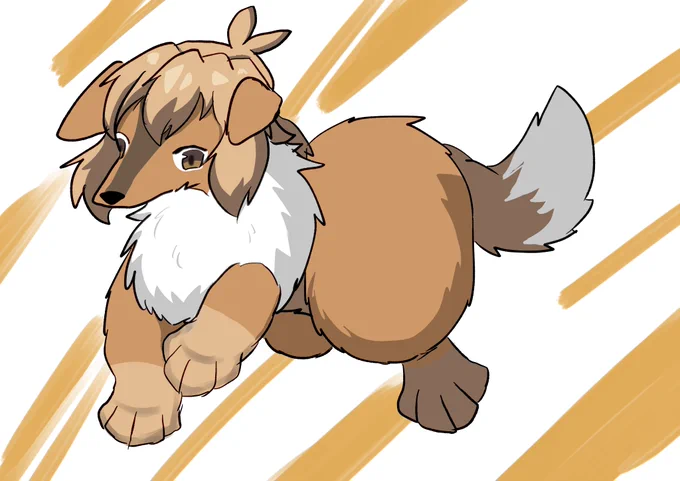 犬花