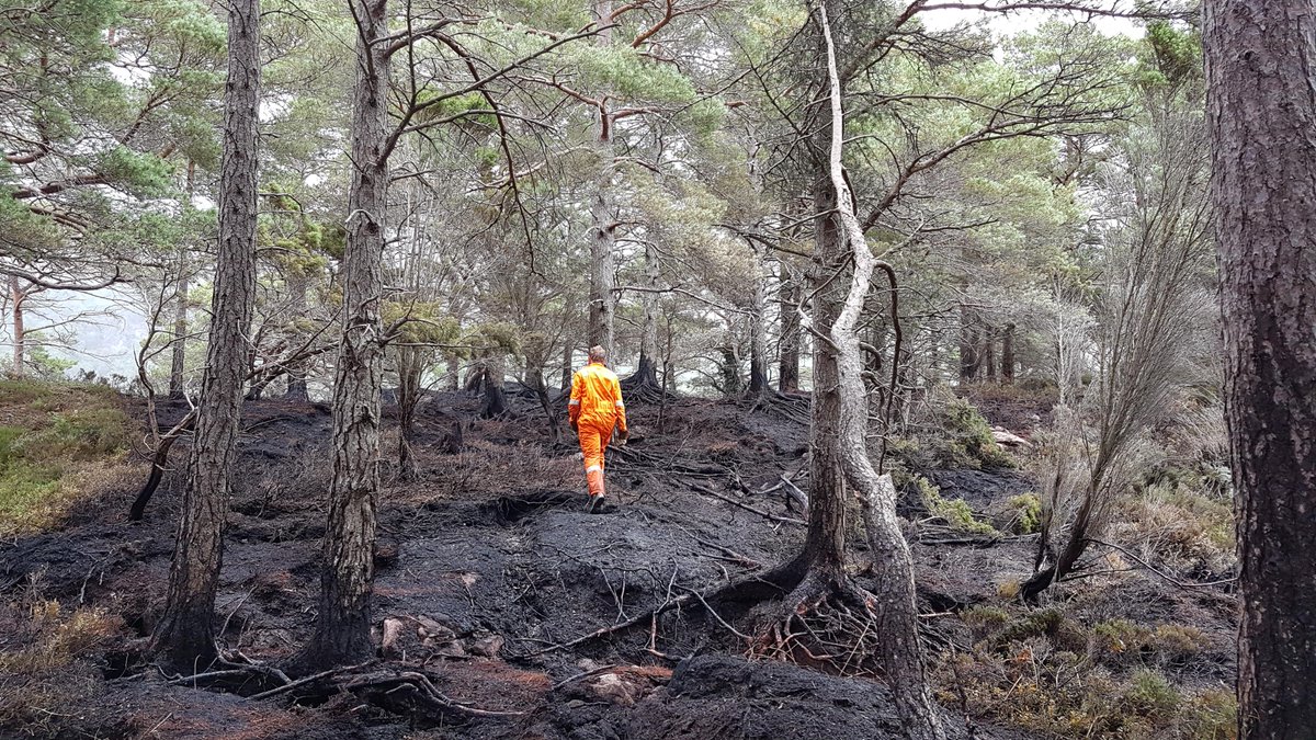 We may enjoy the romantic idea of an open fire, but the reality is that these can quickly get out of control - devastating wildlife and local communities.

Be safe, not sorry, and use a stove when camping.

More tips: orlo.uk/Klm3P 
#KnowTheCode
#RespectProtectEnjoy