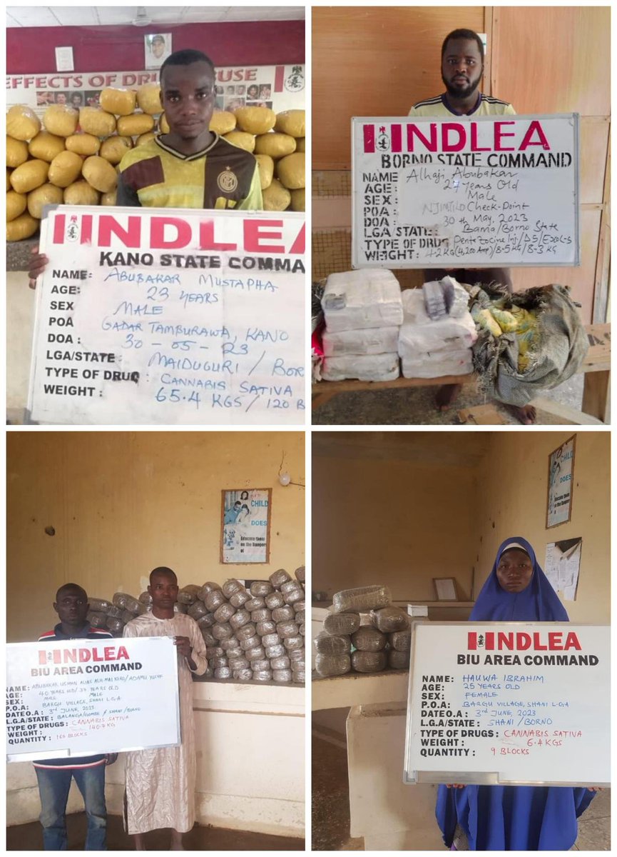 NDLEA destroys 3 tons of skunk in Edo forest, seizes 76.9kg Loud from Canada

...Recovers 390kg illicit drugs in Kano, Kaduna, Borno, Oyo raids