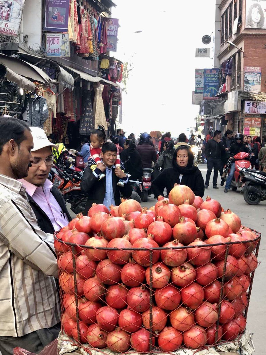 jyotirgamoy's tweet photo. Peeling and eating perfectly ripe, bright and deep red #pomegranate #anaar considered to be one of the healthiest fruit in the world. It contains large amount of nutrients - fiber, vitamin C, K, potassium ❤️
#healthbenefits #antioxidants #tasteofnepal #foodsandflavorsfromnepal https://t.co/ZfBT0TPZrV