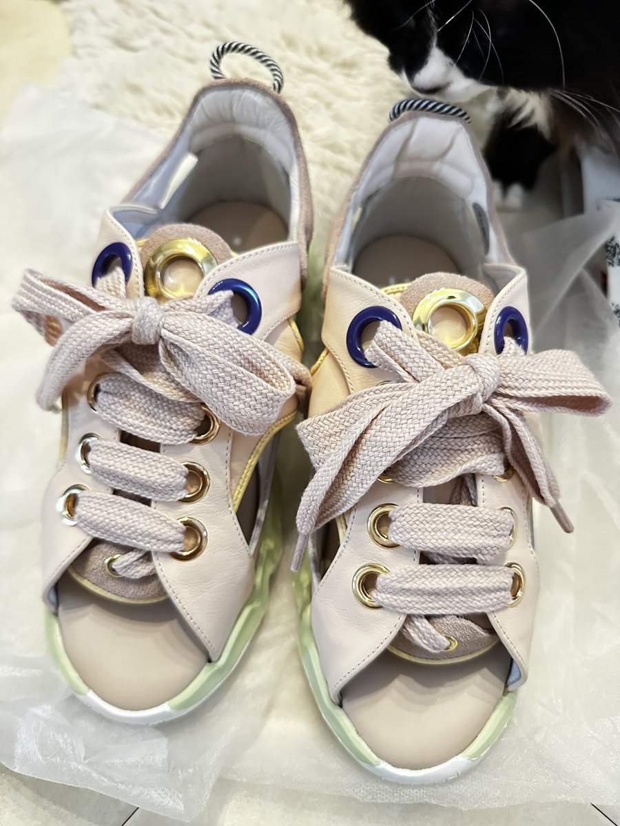 公式】VEGE(ベジ) (@vege_official) / Posts / X