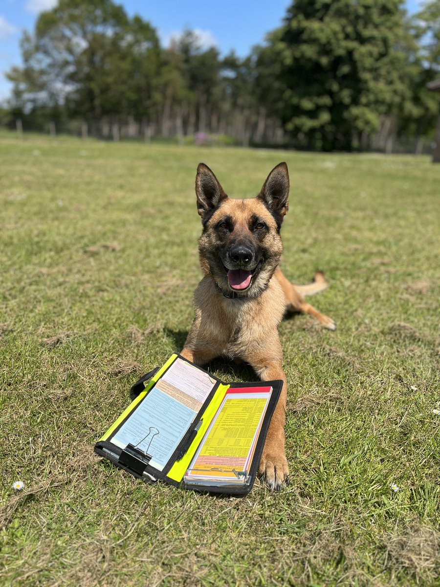 NS PoliceDogs tweet media