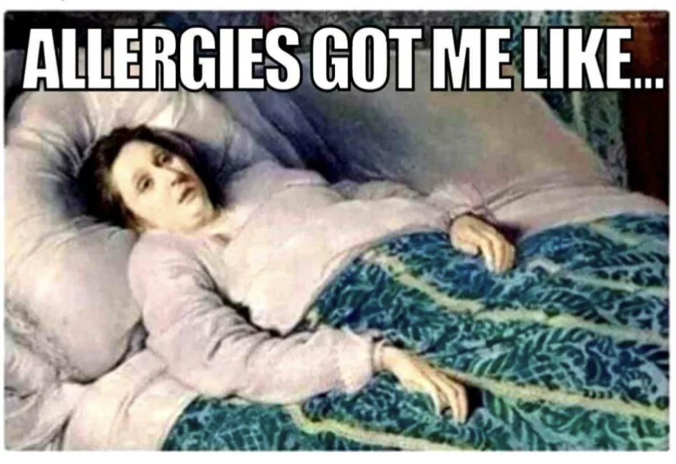 It's truly unnerving how quickly I went from fast asleep to 15 painful ACHOOs once my body realized it'd been more than 24hr since my last dose of allergy med

#allergyseason #botanicalsexism (it's a thing, go look it up)