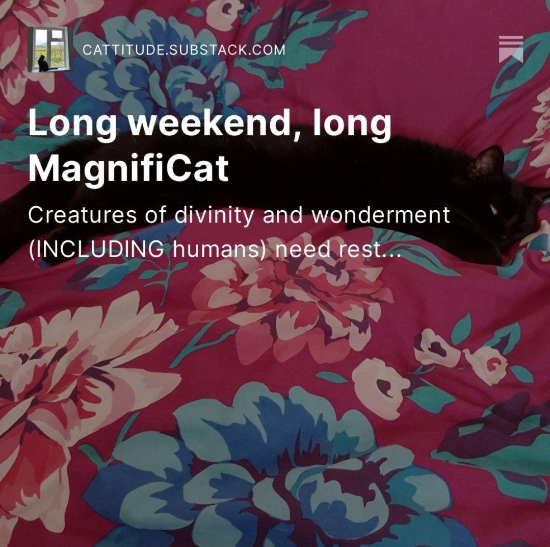 A bank holiday meowsage from the MagnifiCat 

open.substack.com/pub/cattitude/…