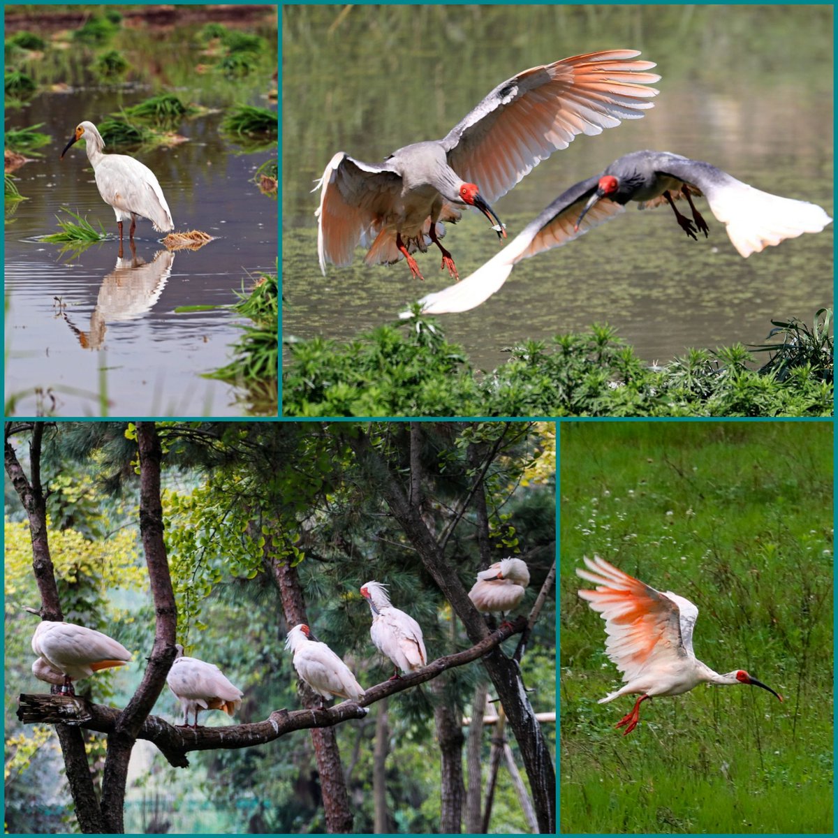 ¡Cuidemos la naturaleza! #5DeJunio # DiaMundialDelMedioAmbiente