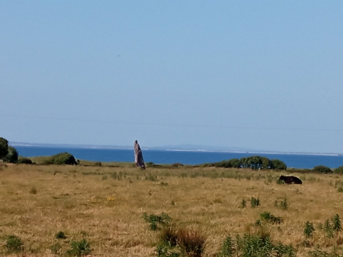 Standing Stone 🪨 (approximately 3m high) which I discovered by accident during my way to Aughacasla Strand, it's placed between Anchor Caravan Park and Aughacasla in county Kerry 
#StandingStoneSunday 
#CoKerry
#Ireland