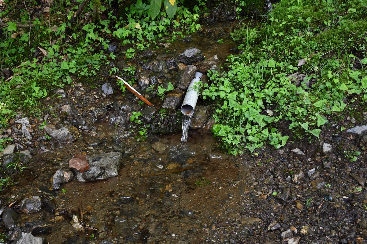 澄んでいて美味しそうな山の湧き水。飲む場合は必ず煮沸を！