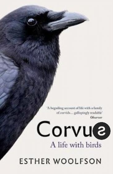 Lies right in front of you,
but has not yet revealed itself as truth. 
Sounds similar,
but is not flying yet.
Its heart is a pillar,
it will move like a flying jet.

What is it?

$XRP #XRP $SOLO #SOLO $CORE #CORE $COREUM #COREUM $XCORE #XCORE