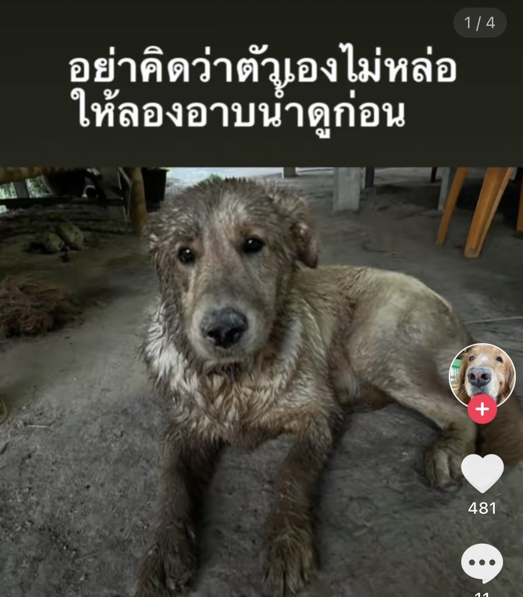 tonnyhahaha's tweet image. 555555555555555555555555555555544444455555555555555555555555555