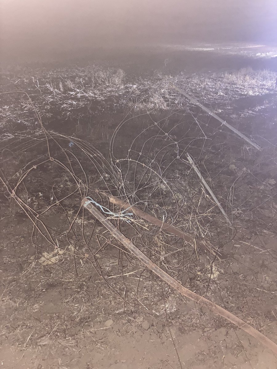 JJB McGill esquire Hoolz. living on McGill land tweet media