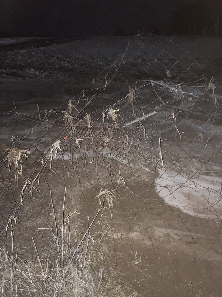 JJB McGill esquire Hoolz. living on McGill land tweet media