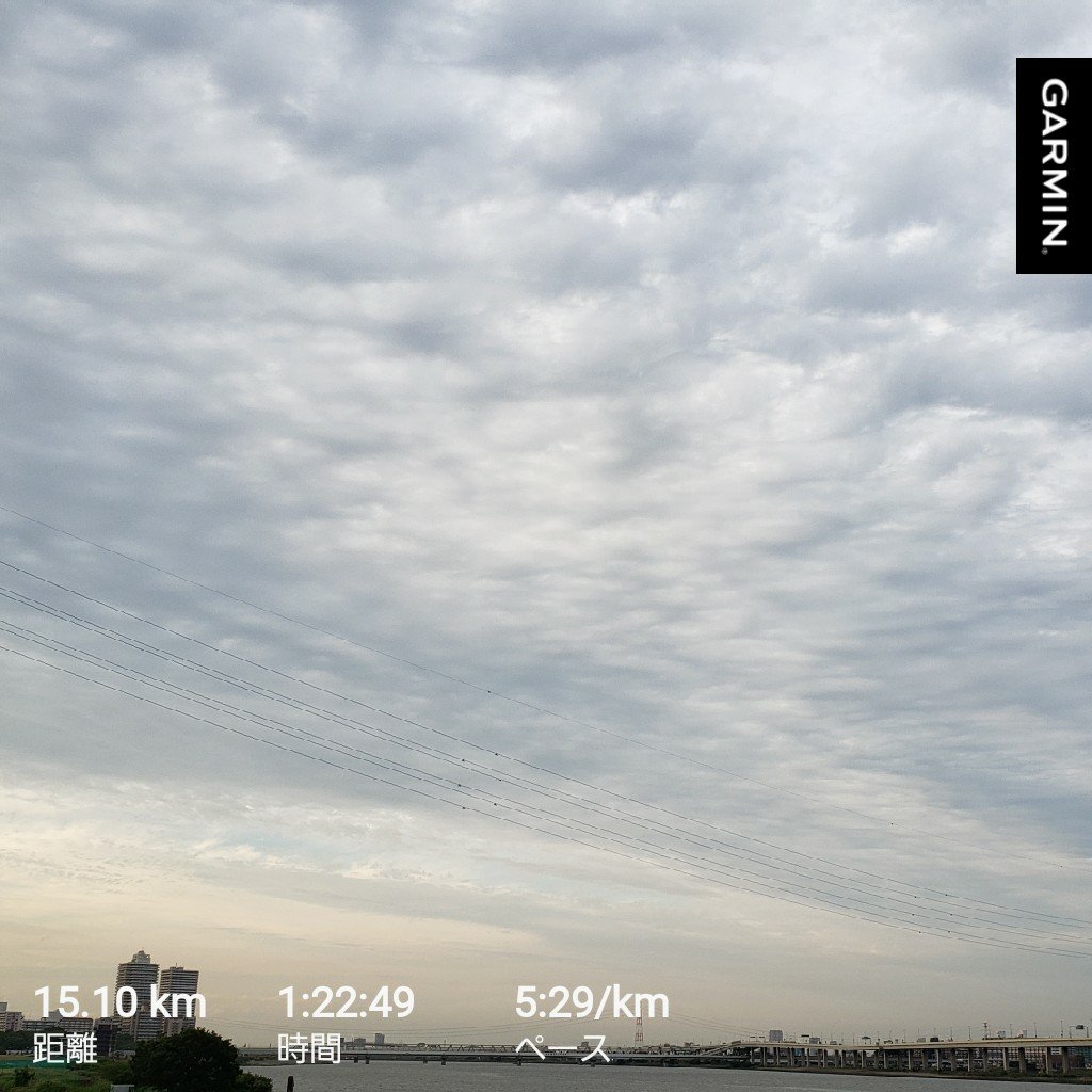今週は
木曜10.1k
土曜5.4k
日曜15.1k
ここ最近、週30kで規則的に走っています。もう少しプラスアルファといきたいですが時間的制約もありなかなか難しいですね。
今日は暑くて暑くて途中どうしてもコーラが飲みたくなり小休止しましたが、夏前にバテ切らないように注意したいです☺️
