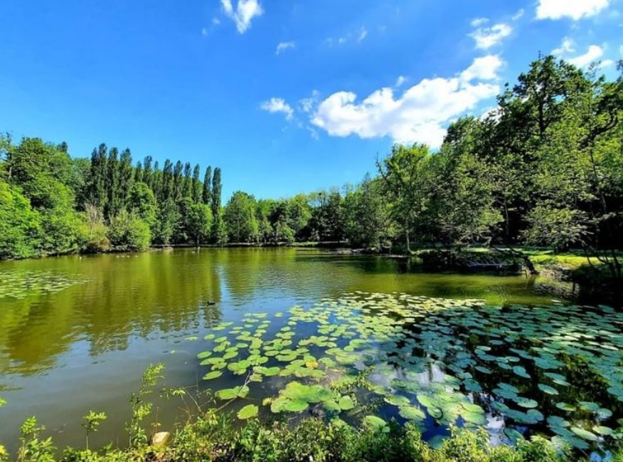 #Bellesimages 😍 Promenade dans le parc 😎 | 
📸 nathalie.b_photos #valdoise