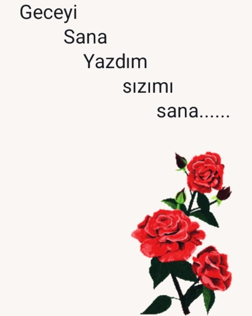 öyle diyor şiir✔