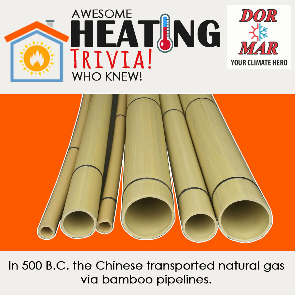 Bamboo is still as useful today as it was in 500 B.C.!