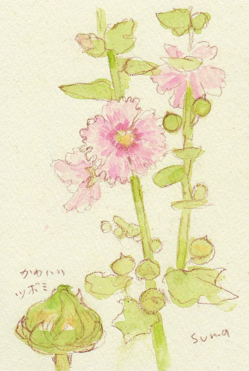 「」|雁須磨子のイラスト