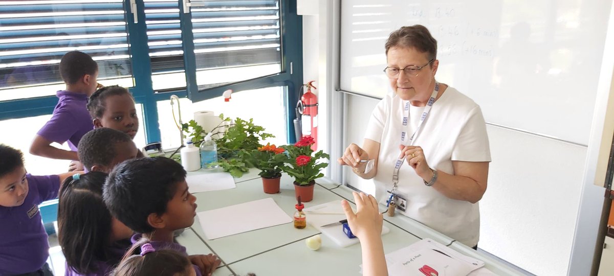 Science #amazinglearning with Year 2 students learning about botany & flowers! @ISPSchools #britishschool #switzerland