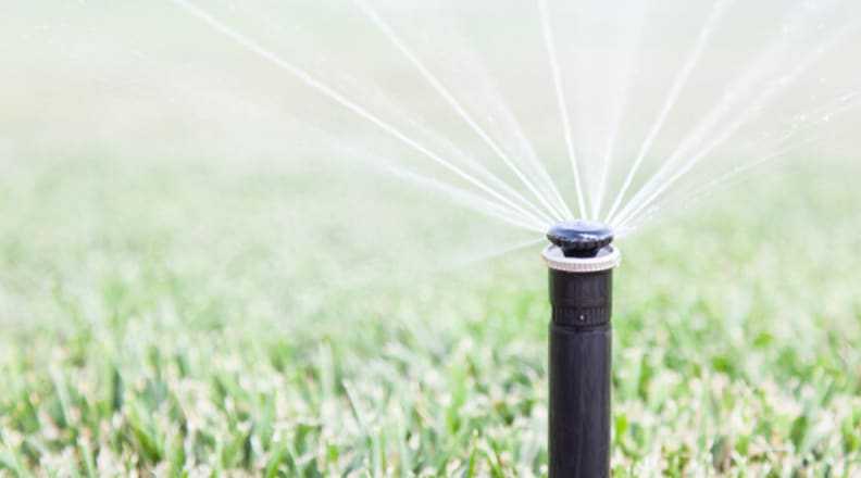 A good way to achieve a green lawn is to use a #smartsprinkler controller. Here's how it can help. #smarthomes  cpix.me/a/170924345