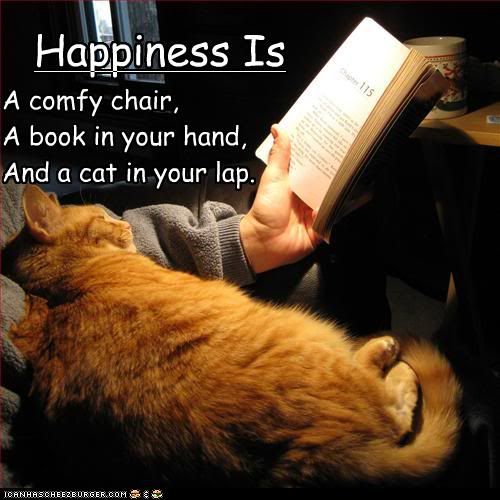 Perfect.
#hugyourcatday #amreadingnow #booknook #bookjunkies #fireshippress