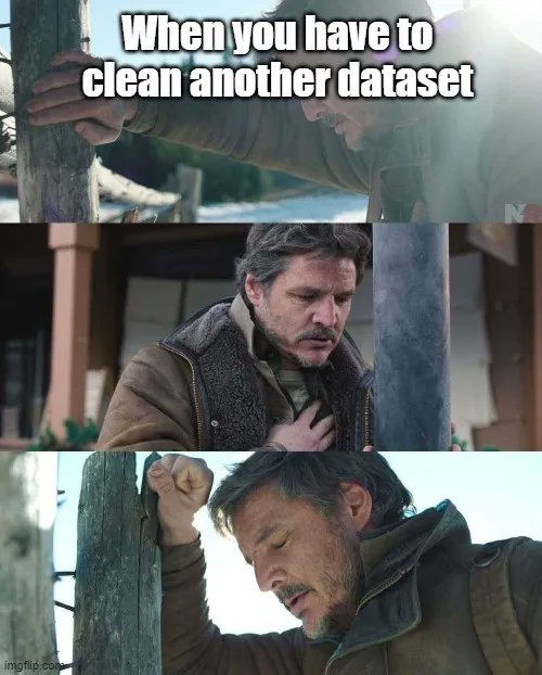 🥷 Solo los valientes expertos en #DataCleaning pueden desentrañar los enigmas de errores, valores perdidos, outliers y duplicados.💻
🥹 ¡Son los héroes que aseguran obtener información confiable!✨
😜 Que tu sacrificio no sea en vano
#stats #meme #datascience #analytics #dataviz