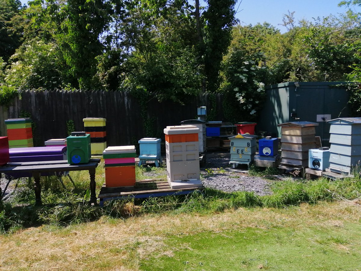 Tim Hewer tweet media