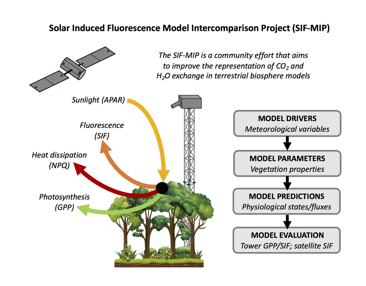 Jen Johnson (@_jejohnson) on Twitter photo Overview of the SIF-MIP project in latest issue of GEWEX Quarterly...'The Need for SIF in Integrated Carbon-Water Cycle Assessments' gewex.org/gewex-content/… <a href="/GEWEX_WCRP/">GEWEX</a> <a href="/ncparazoo/">Nicholas Parazoo</a> <a href="/troymagney/">Troy Magney</a> <a href="/Zoeapie/">Dr. Pierrat 🌲☀️🌳🔭🌈</a> <a href="/mmmmchen/">Min Chen</a> @grquetin Overview of the SIF-MIP project in latest issue of GEWEX Quarterly...'The Need for SIF in Integrated Carbon-Water Cycle Assessments' gewex.org/gewex-content/… <a href="/GEWEX_WCRP/">GEWEX</a> <a href="/ncparazoo/">Nicholas Parazoo</a> <a href="/troymagney/">Troy Magney</a> <a href="/Zoeapie/">Dr. Pierrat 🌲☀️🌳🔭🌈</a> <a href="/mmmmchen/">Min Chen</a> @grquetin