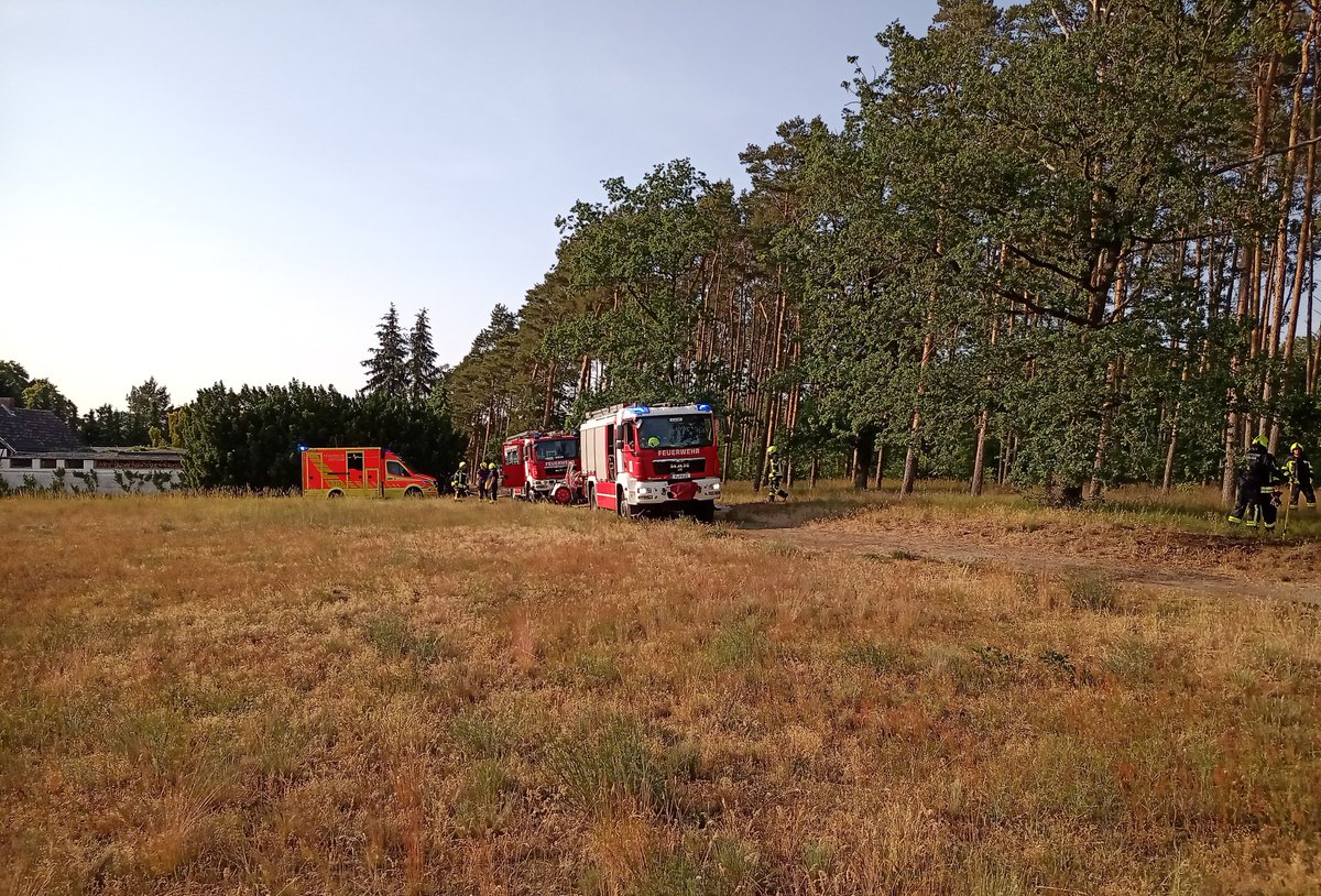 FwPotsdam's tweet photo. Durch den schnellen Einsatz unserer Kräfte von BF & FF konnte der durch aufmerksame BürgerInnen gemeldete Flächenbrand in #Drewitz auf 100m² begrenzt werden. ^TK
#FürPotsdamImEinsatz https://t.co/YJxKAQ9k5S