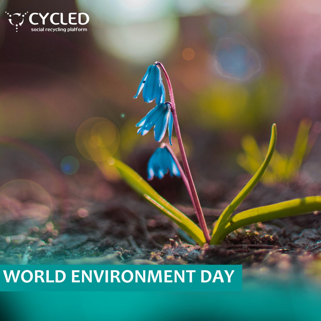 cycledtech's tweet image. Celebrate our green commitment this World Environment Day! 

Join our sustainable initiatives, earn rewards for recycling, and shape a brighter future. Visit our website to start today! 

Happy World Environment Day! 🌍♻️✨ 

#SmartRecycling #WorldEnvironmentDay #JoinTheMovement