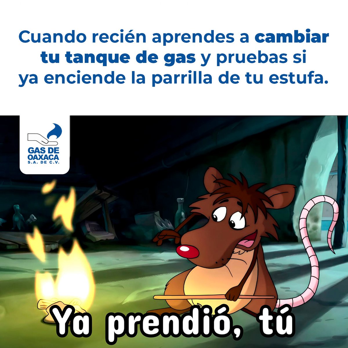 tlacuaycuache\, image size:1200x1200