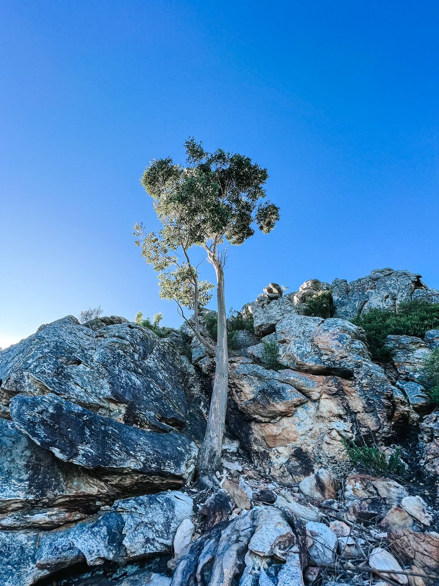 On top of the world 🌍