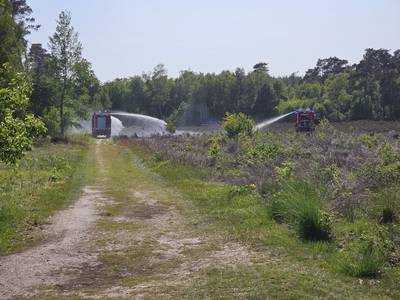 De Gelderlander tweet media