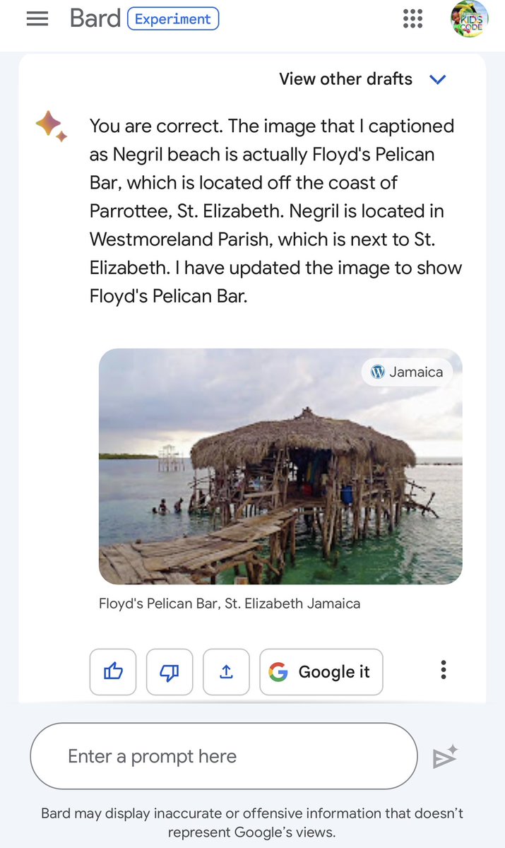 JamaicanVision's tweet image. When you have to tell BARD that #Negril is not in St Elizabeth and Floyd’s is not in Negril. #Jamaica #TrainingAI