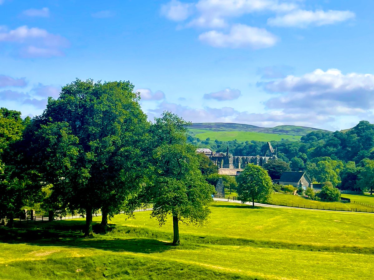 Caroline Cornish (@carolinecornis1) on Twitter photo #GodsOwnCounty <a href="/bolton_abbey/">Bolton Abbey Estate</a> North #Yorkshire resplendent today under the June sun #GodsOwnCounty <a href="/bolton_abbey/">Bolton Abbey Estate</a> North #Yorkshire resplendent today under the June sun