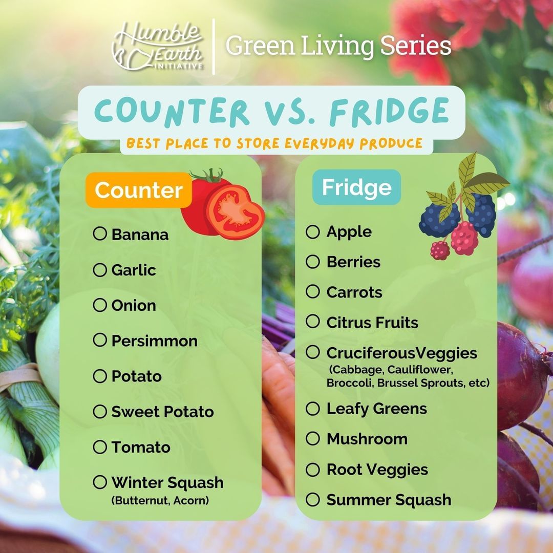 A handy produce guide of what goes in the fridge and what on the counter 🥰

#nowasteliving
#goingzerowaste
#zerowastelife
#wastefree
#ditchplastic
#zerowasteliving
#zerowastehome
#lessplastic