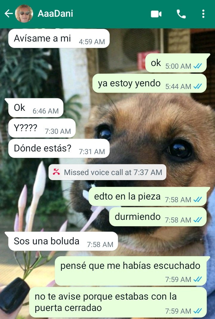 caritotrangoni's tweet image. hasta el novio me habló ese día y yo durmiendo