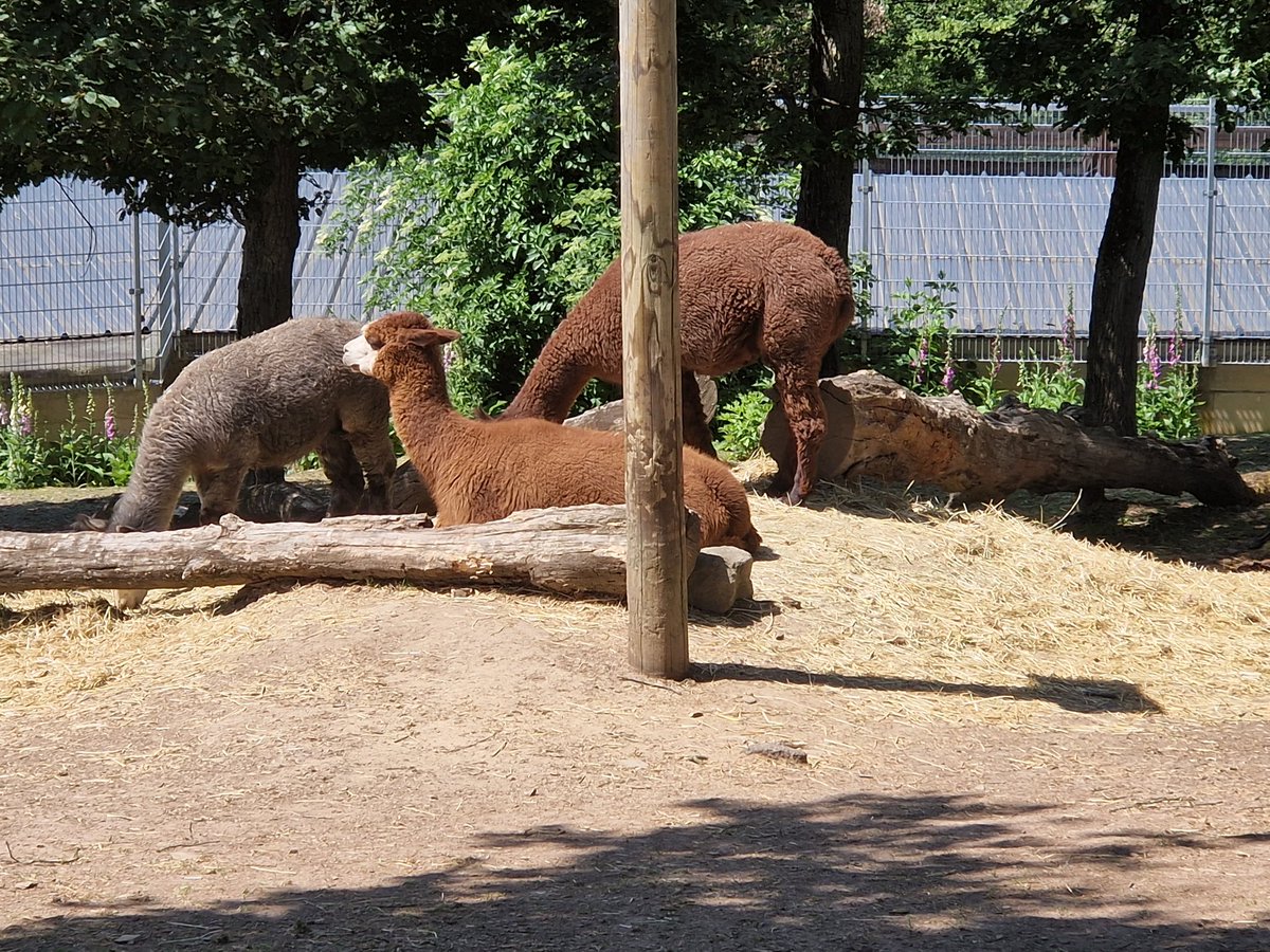 Hab <a href="/maxiii212/">maxiii21</a> gefunden :o